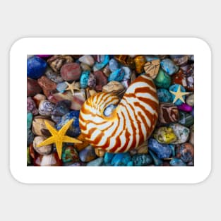 Nautilus On Polished Colorful Stones Sticker